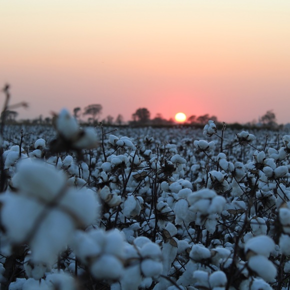 Meet your Posher, Michelle - Picture 1 of 1